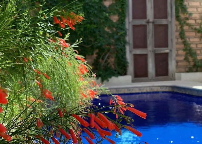 Hotel Milagros Cabo San Lucas